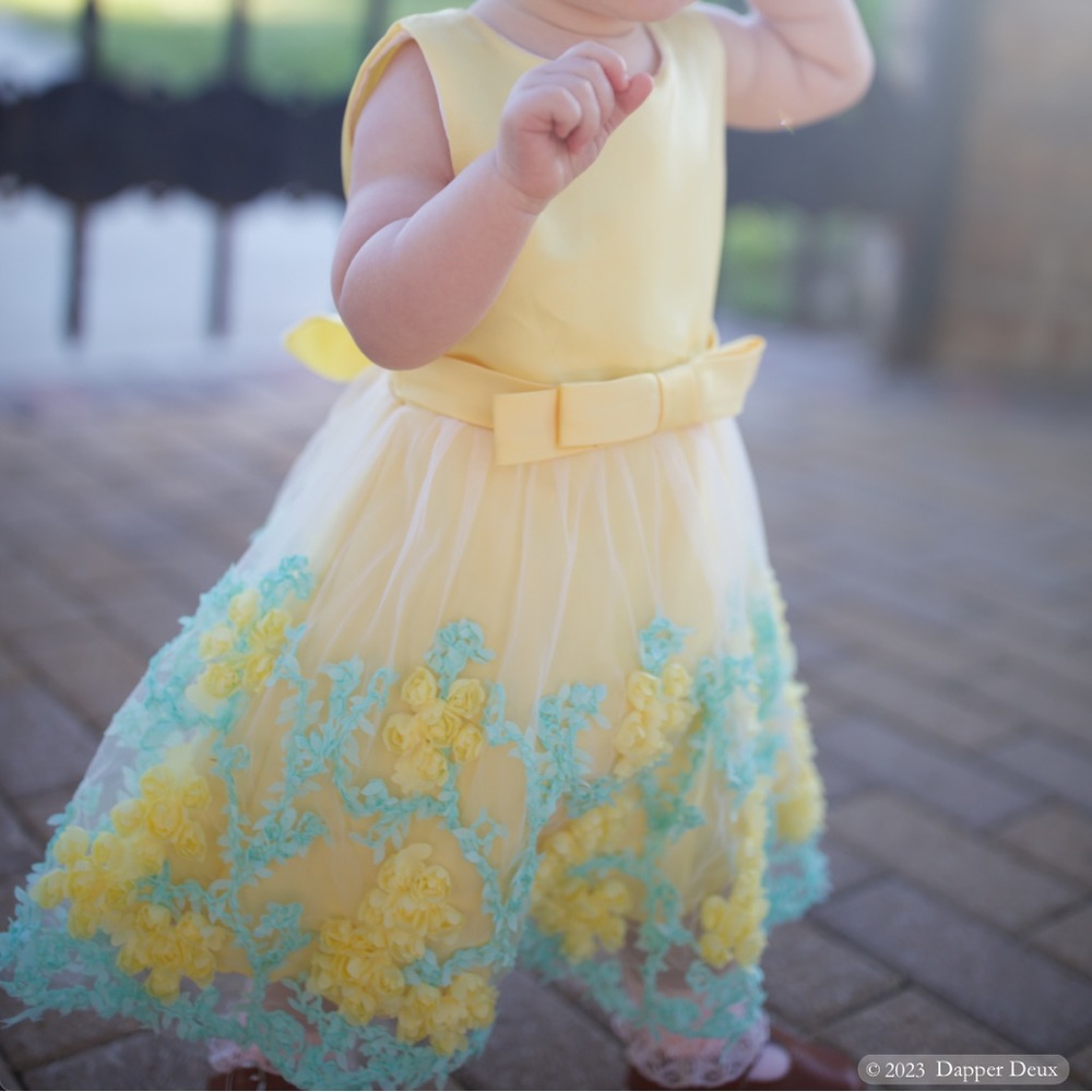 Dressy Daisy | Flower Girl Yellow and Blue Tulle Dress
